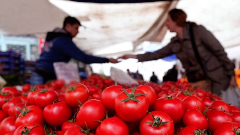 Türkiye’nin beş gün süren, domates ihracatı yasağı Bulgaristan’ı korkuttu