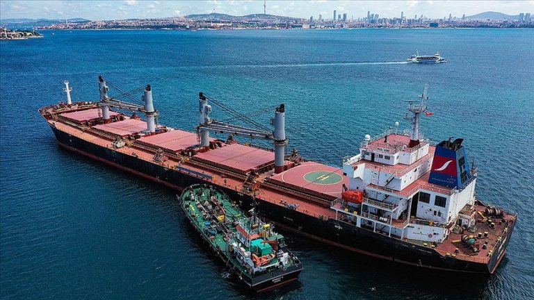 Ukrayna limanlarından 1 milyon tonun üzerinde tahıl taşındı