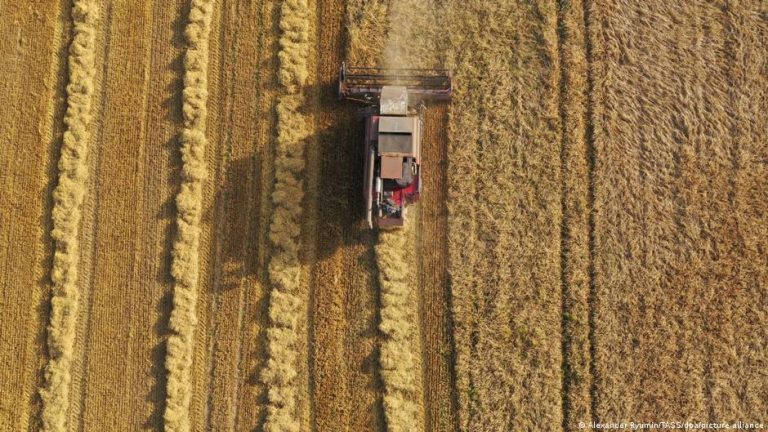 Ukrayna savaşı küresel gıda güvensizliğini artırıyor