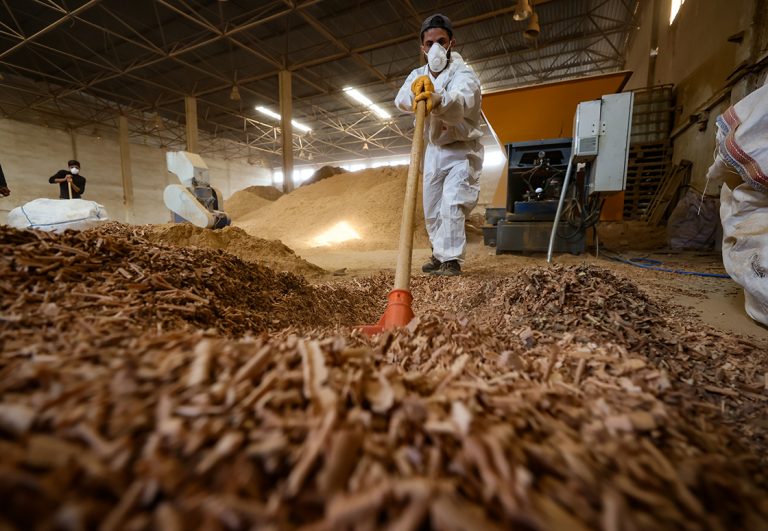 Biyokütle yakıt pelete ihracatı artıyor