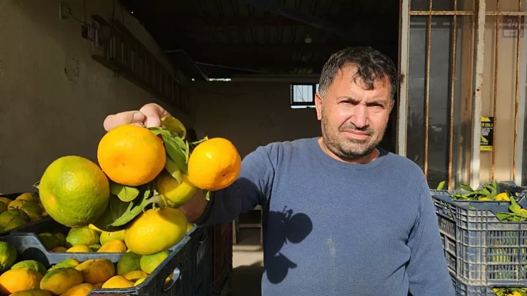 İhracat daraldı, narenciye dalda kaldı