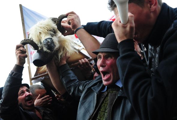 Koyun yetiştiricilerinden hükümete protesto