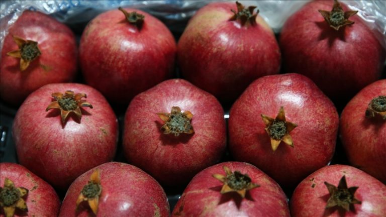 Nar ihracatı 2 yıl üst üste rekor kırdı