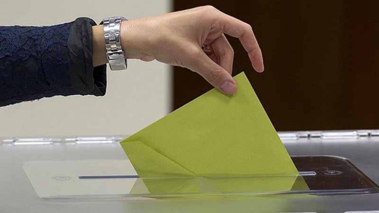 Yurt dışı seçmen kütüğünün sorgulanma süresi