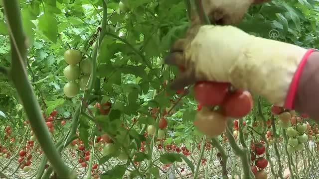 Sektörlerin ihracat hedefleri