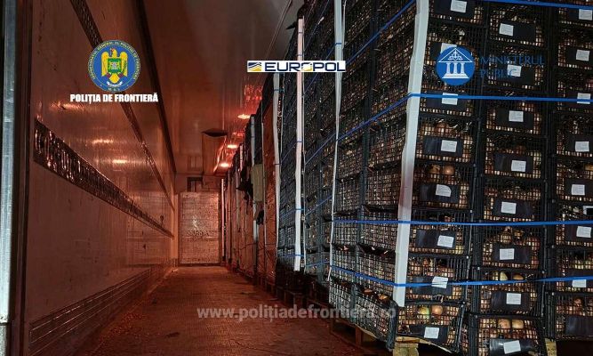 Soğan yüklü TIR’larla 70 milyon sigara kaçırdılar